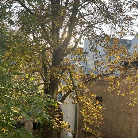 Schillerkiez Helle Zentrale Mit Berliner Charme Appartement